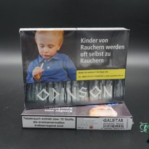 Odinson