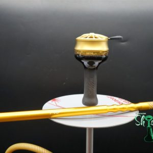 Steamulation Set Pro X Clear – Schlauch gold